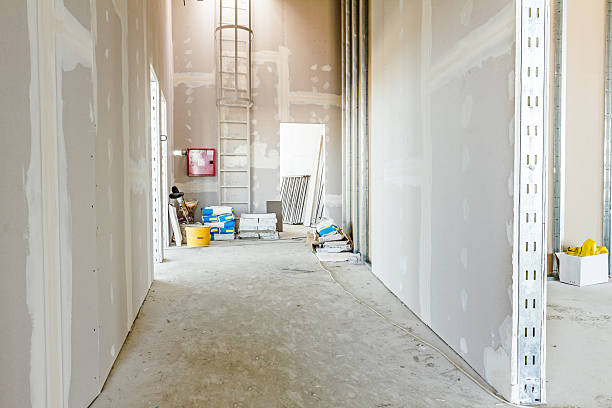 Best Drywall Removal and Disposal  in USA